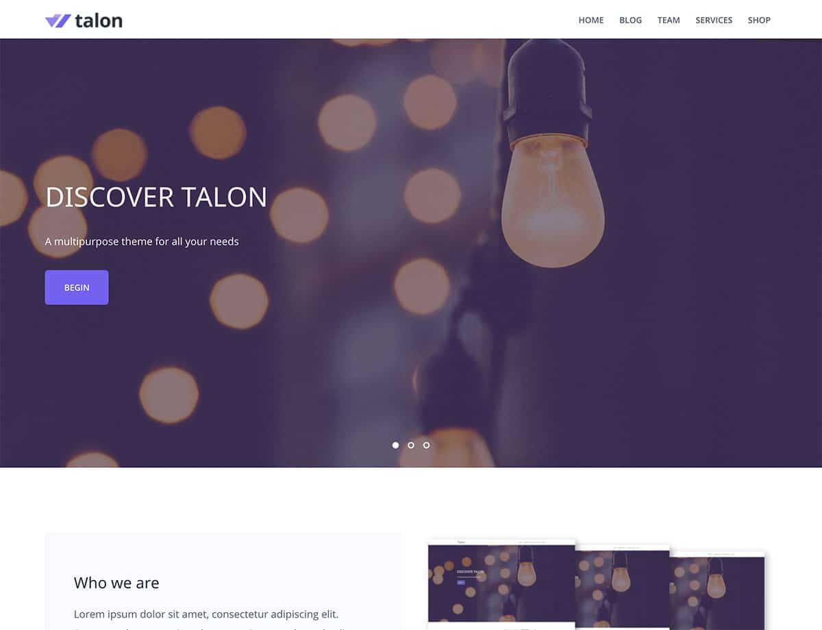 Premium WordPress Themes