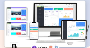 Choose The Alfa Boxed Premium Admin Template For Your Project